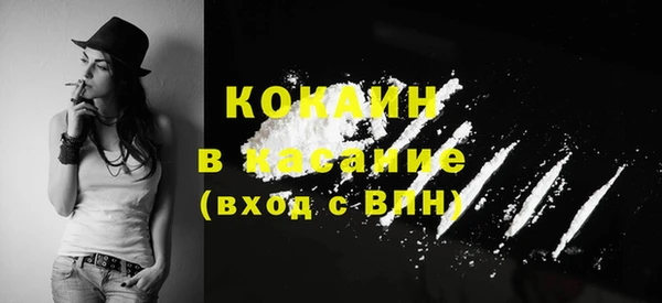 спайс Новодвинск