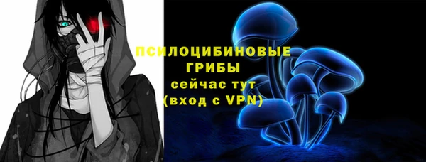 спайс Новодвинск