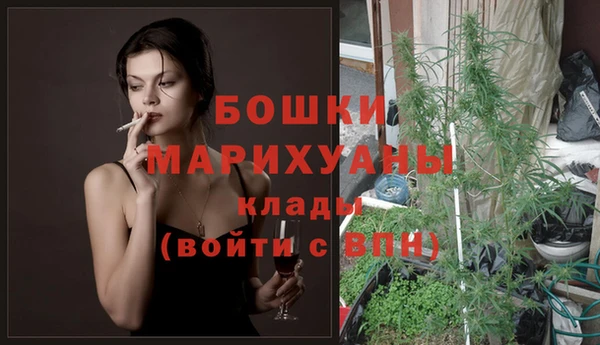 спайс Новодвинск