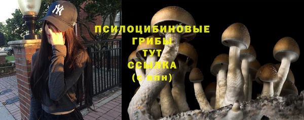 амфетамин Новокубанск
