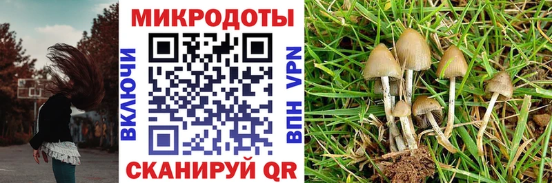 Псилоцибиновые грибы прущие грибы Усть-Катав